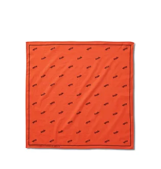 Vans Vault X WTAPS Bandana (Rot)