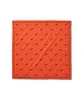 Vans Vault X WTAPS Bandana (Rot)
