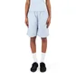 Carhartt WIP W' Nota Short (Blau)
