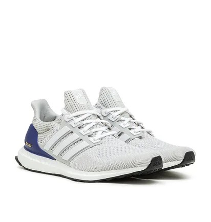 adidas Ultraboost 1.0 DNA (Grau)
