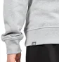The North Face International Collection Classic Climb Hoodie (Hellgrau)