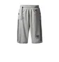 adidas x Neighborhood NBHD Riders Track Shorts (Grau)