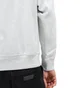 Carhartt WIP American Script Hoodie (Hellgrau)