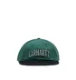 Carhartt WIP Preston Cap (Schwarz)