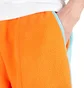 The North Face Denali Pant (Orange / Blau)