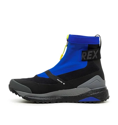 Adidas Terrex Free Hiker C.Rdy (Bau / Schwarz)