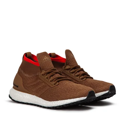 adidas Ultra Boost All Terrain (Braun)