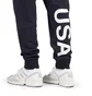 The North Face International Collection Sweatpant (Navy)
