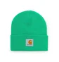 Carhartt WIP Short Watch Hat (Grün)