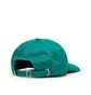Dime Classic Friends Cap (Grün)