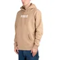 Pleasures Blurry Hoodie (Braun)