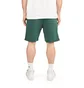 Norse Projects Falun GMD Sweatshorts (Grün)