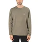 Stone Island Fissato Dye Treatment LS (Grün)