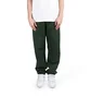 Stüssy Stock Logo Pant (Grün)