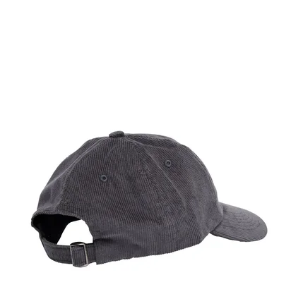 Parra Worked P 6 Panel Hat (Grau)