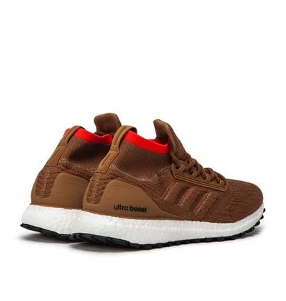 adidas Ultra Boost All Terrain (Braun)
