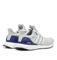 adidas Ultraboost 1.0 DNA (Grau)