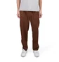 Obey Fubar Pleated Pant (Braun)
