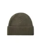 Carhartt WIP Burbank Beanie (Grün)