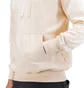 Aimé Leon Dore Logo Hoodie (Beige)