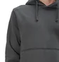 Stone Island Hoodie (Dunkelgrau)