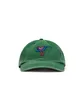 by Parra Duck Attack 6 Panel Hat (Grün)