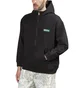 Brain Dead Half Zip Hoodie (Schwarz)