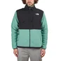 The North Face Denali Jacket (Schwarz / Grün)