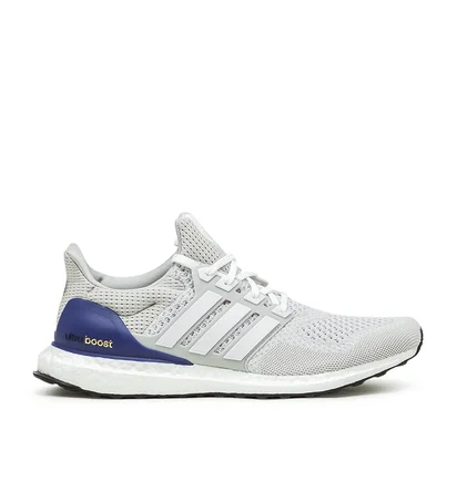 adidas Ultraboost 1.0 DNA (Grau)
