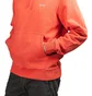 Stüssy Stock Logo Hood (Rot)