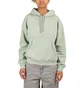 Carhartt WIP W' Hooded Marfa Sweat (Grün)