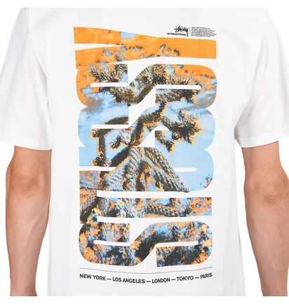 Stüssy Desert Sky Tee (Weiß)