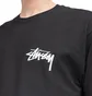 Stüssy Design Group 21 T-Shirt (Schwarz)