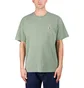 Carhartt WIP S/S Nelson T-Shirt (Grün)
