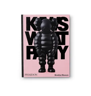 Phaidon: Kaws What a Party