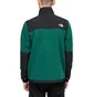 The North Face M Denali Jacket 2 (Grün / Schwarz)
