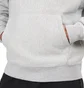 Stüssy Stock Logo Hood (Grau)