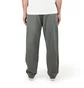 Carhartt WIP Salford Pant (Grün)