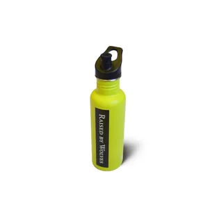 Raised by Wolves x Klean Kanteen Classic 27oz Bottle (Lime)