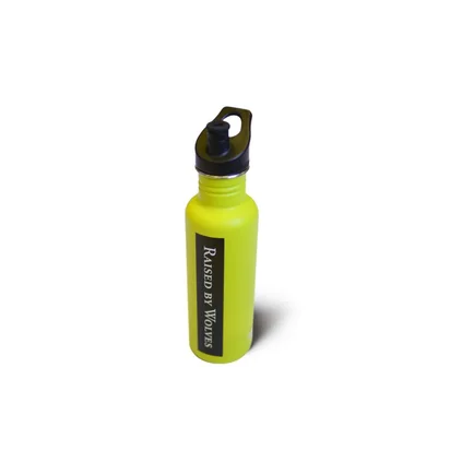 Raised by Wolves x Klean Kanteen Classic 27oz Bottle (Lime)