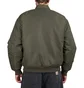 Carhartt WIP Olten Bomber (Grün)