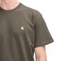 Carhartt WIP S/S Chase T-Shirt (Dunkelgrün)