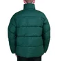 Carhartt WIP Doville Jacket (Grün)