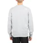 The North Face International Collection Crewneck (Hellgrau)