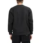 Carhartt WIP American Script Sweatshirt (Schwarz)
