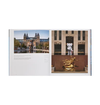Phaidon: Kaws