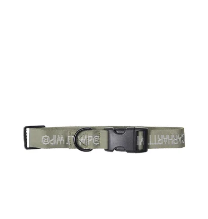 Carhartt WIP Tour Dog Leash & Collar (Grün)