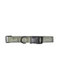 Carhartt WIP Tour Dog Leash & Collar (Grün)