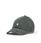 Carhartt WIP Harlem Cap (Grün)
