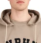 Neighborhood Sulfur Dye / C-Hooded . LS (Greige)